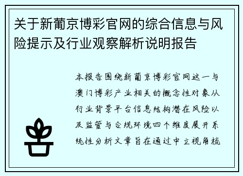 关于新葡京博彩官网的综合信息与风险提示及行业观察解析说明报告